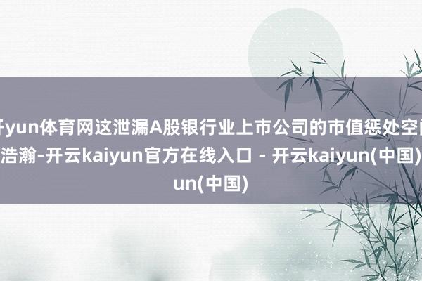 开yun体育网这泄漏A股银行业上市公司的市值惩处空间浩瀚-开云kaiyun官方在线入口 - 开云kaiyun(中国)