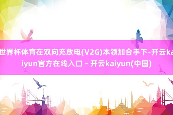 世界杯体育在双向充放电(V2G)本领加合手下-开云kaiyun官方在线入口 - 开云kaiyun(中国)