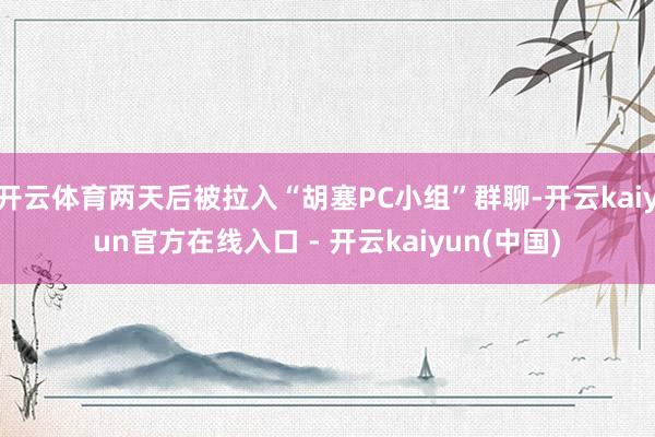 开云体育两天后被拉入“胡塞PC小组”群聊-开云kaiyun官方在线入口 - 开云kaiyun(中国)