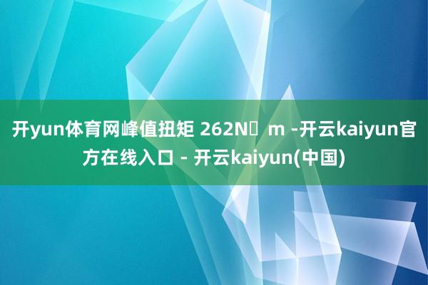 开yun体育网峰值扭矩 262N・m -开云kaiyun官方在线入口 - 开云kaiyun(中国)