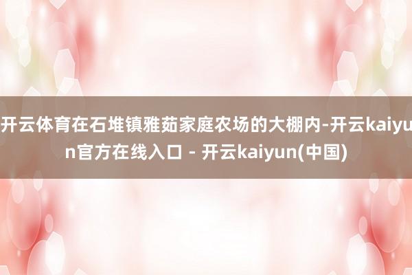 开云体育　　在石堆镇雅茹家庭农场的大棚内-开云kaiyun官方在线入口 - 开云kaiyun(中国)