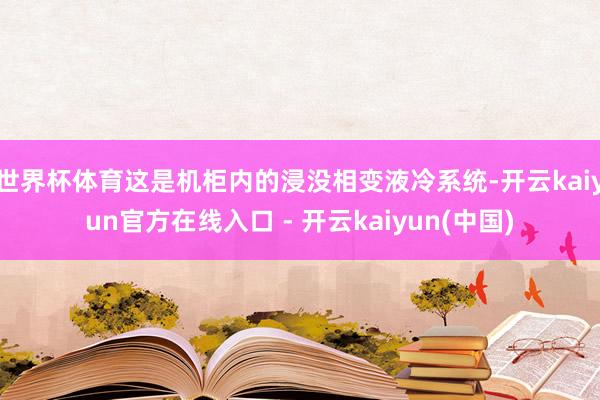 世界杯体育这是机柜内的浸没相变液冷系统-开云kaiyun官方在线入口 - 开云kaiyun(中国)