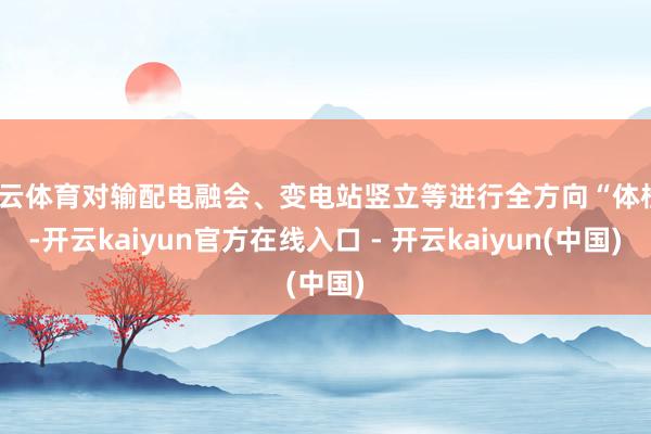 开云体育对输配电融会、变电站竖立等进行全方向“体检”-开云kaiyun官方在线入口 - 开云kaiyun(中国)