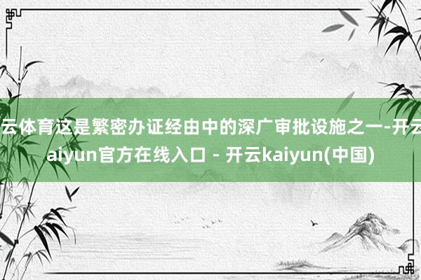 开云体育这是繁密办证经由中的深广审批设施之一-开云kaiyun官方在线入口 - 开云kaiyun(中国)